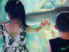 -福州罗源湾海洋世界旅游区