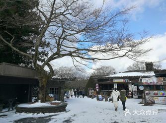 济州岛旅游|冬季看雪全攻略
