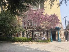 -青岛德国总督楼旧址博物馆