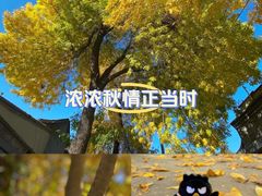 -南锣鼓巷