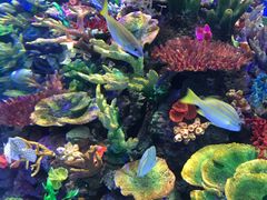 -成都浩海立方海洋公园