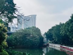 -荔湾湖公园