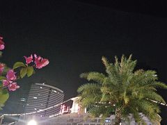 -Paulaner·德国帕拉娜自酿啤酒餐厅(海上世界店)