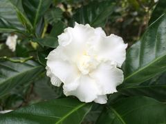 -广东花都香草世界旅游度假区