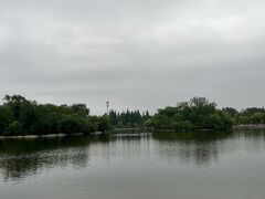 -莱西月湖公园