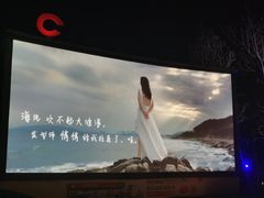 -枫花园汽车电影院(朝阳公园店)