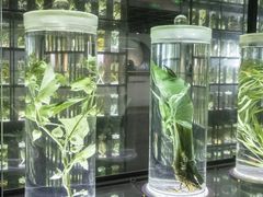 -广东中医药博物馆