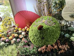 -杭州植物园