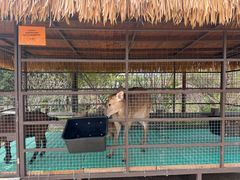 -珠海海泉湾神秘岛亲子乐园