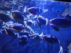 -成都浩海立方海洋公园