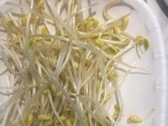 -古乐牛香鲜牛肉牛杂火锅(观前街店)