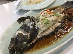 清蒸石斑鱼-盒马渔市餐厅
