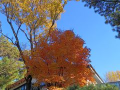 -熙古里艺术村