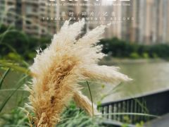 -苏州河梦清园环保主题公园