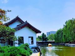 -团结湖公园