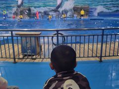 -多彩贵州城极地海洋世界