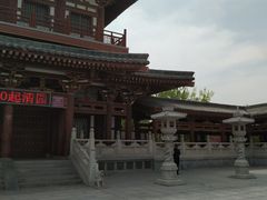 -西安乐游原