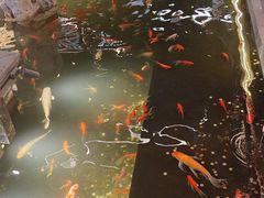 -百年同和·江南点心院(山塘街店)