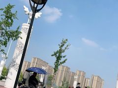-丁香湖公园