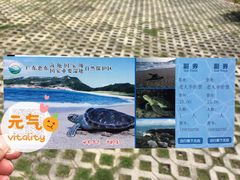 -广东惠东海龟国家级自然保护区