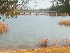 -五里桥文化公园-西侧停车场