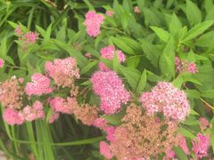 -杭州城北体育公园