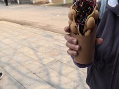 -长白岛森林公园