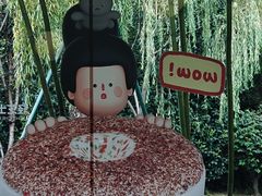 -COSTA COFFEE(西湖天地店)