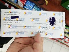 -南湖镇长途巴士站(TBS)