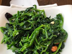 -老北京私房菜(798店)