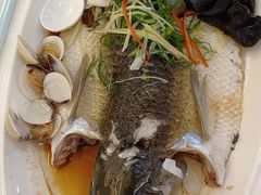 -鹭园酒家·四十年老字号