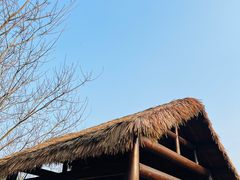 -良渚古城遗址公园