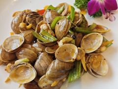 -大东海海鲜酒楼(渔人码头总店)