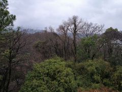 -苏州上方山国家森林公园