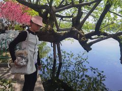 -湖畔居茶楼(湖滨店)