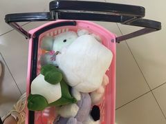 -汤姆熊欢乐世界(光启城店)
