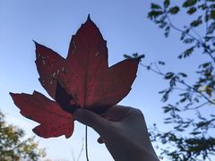 -终南山南五台景区