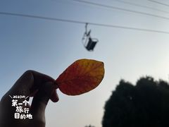 -香山公园