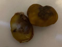 -阿男野栗王(金门路店)