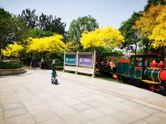 -南翠屏公园