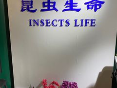 -上海昆虫博物馆