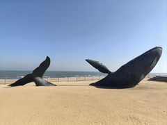 -烟台金沙滩海滨公园