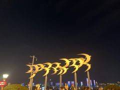 -秋水广场音乐喷泉