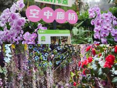 -正佳雨林生态植物园