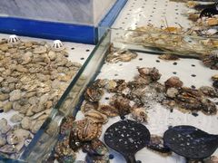 水产区-川骄海鲜自助(河东店)