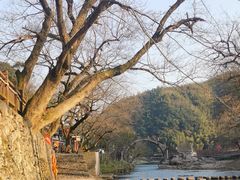 -鹿亭中村