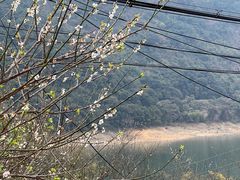 -广州市流溪河国家森林公园