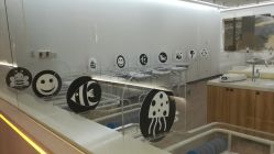 -海豚湾高端月子会所(黄浦店)