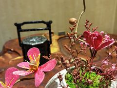-南堂館川菜文化餐厅(天府店)