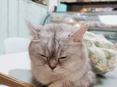 -小时光咖啡馆(北锣鼓巷店)